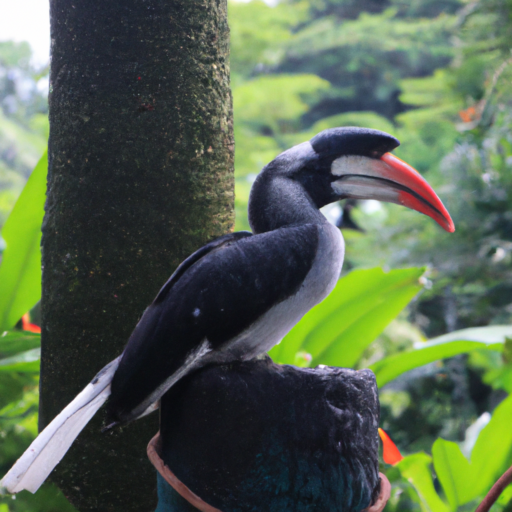 El Parque de las Aves de Kuala Lumpur