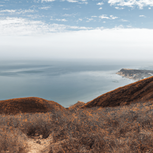 Hacer un recorrido por el Parque Nacional de Labrador y su sendero costero